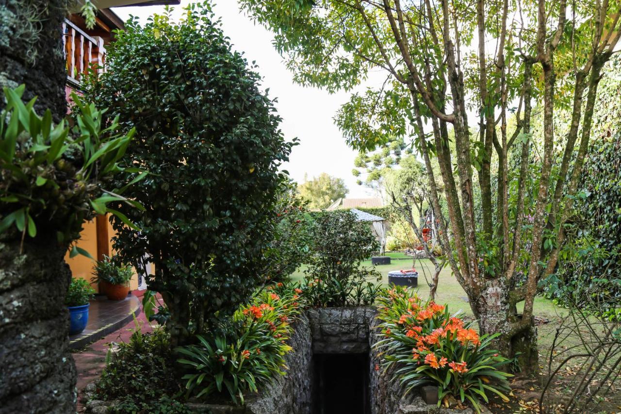 Pousada Cedro do Libano Campos do Jordão Exterior foto